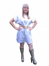 Costume Ladies 1970s Abba Fancy Dress Costume  Image