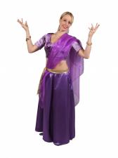 Costume Ladies Belly Dancer Indian Bollywood Costume Image
