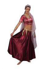 Costume Ladies Indian Belly Dancer Bollywood Costume Image