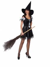 Costume Ladies Halloween Witch Cinderella Costume Image