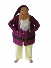 Costume Adult Grumpy Dwarf Snow White and The Seven Dwarves Image