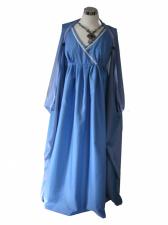 Costume Ladies Roman Greek Goddess Costume Image