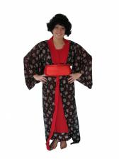 Costume Ladies Chinese Japanese Geisha Fancy Dress Costume Image