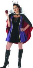 Costume Ladies Evil Queen Costume Image
