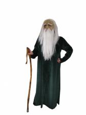 Costume Adult Merlin Lord of the Rings Wizard Fancy Dress Costume Image