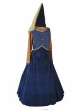 Costume Ladies Medieval Princess Costume Image