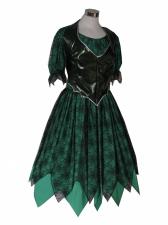 Costume Ladies Halloween Witch Costume Image