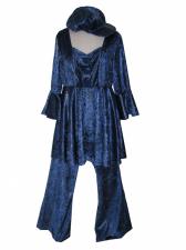 Costume Ladies 1970s Abba Mama Mia Costume Image