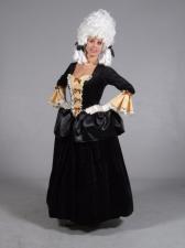 Costume Deluxe 18th Century Ladies Masked Ball Costume Image