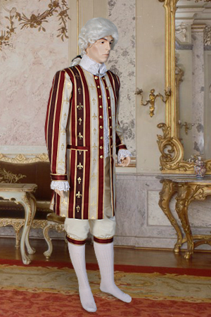 Men's Deluxe 18th Century Masked Ball Costume Image