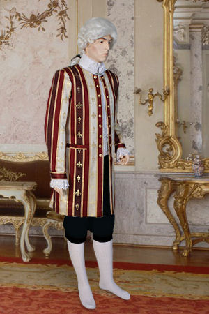 Men's Deluxe 18th Century Masked Ball Costume Image