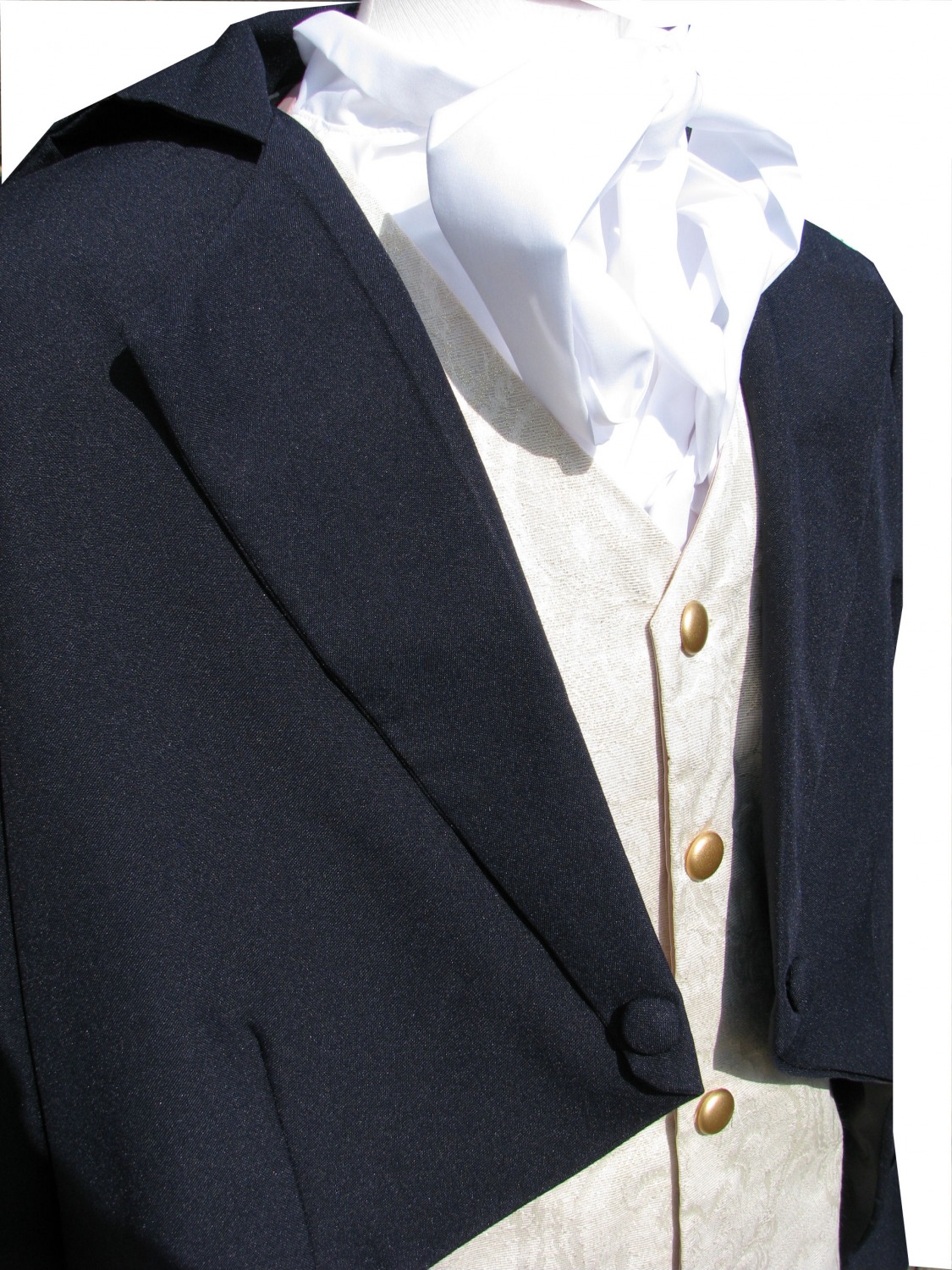 Men's Deluxe Regency Mr. Darcy Victorian Costume Size M/L Image