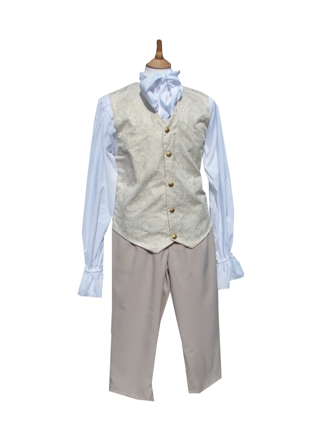 Men's Deluxe Regency Mr. Darcy Victorian Costume Size M/L Image