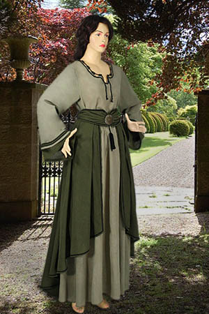 Ladies Saxon Viking Costume Image